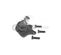 Giunto Snodo Sospensione Dx Destro per Audi A2 8Z0 1.2 TDI 1.4 1.6 55 kW 75 CV