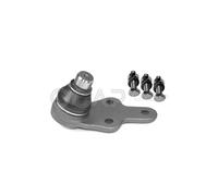 Giunto Snodo Sospensione Dx per Ford Transit Connect V408 Spaziosa 1.6 TdCi