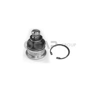 Giunto Snodo Sospensione Dx Sx per Renault Clio III Cassone SB SR 1.5 dCi Ocap