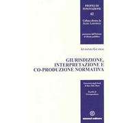 Giurisdizione, interpretazione e co-produzione normativa