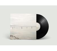 Giuseppe Ielasi & Riccardo D. Wanke With Time, We Learned to Ask Less (Vinyl LP)