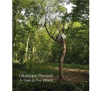 Giuseppe Penone: A Tree in the Wood