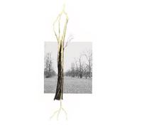Giuseppe Penone: Thoughts in the Roots
