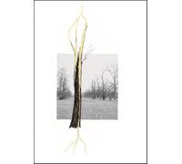 Giuseppe Penone. Thoughts in the Roots: Serpentine Gallery, London