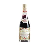Giusti - Condimento Agrodolce al Melograno- Champagnotta 250ml | Fresco e piacevolmente acidulo, dal gusto bilanciato e colore vivido. Ideale su insalate, pesce, verdure, frutta e cocktail.
