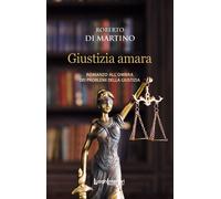 Giustizia amara. Romanzo all'ombra dei problemi della giustizia
