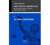 Giustizia criminale. La pena cerceraria (Vol. 1)