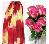 GIVBRO Fiore Nylon Calza Materiale Accessorio Fai da Te Fiore Tessuto Tricolore Multicolore per Fiori Bambola Vestiti Bouquet Fare 2 Pz