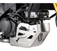 Givi RP_ _ _, protezione del motore male Alluminio