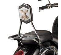 Schienalino Givi TS8206B