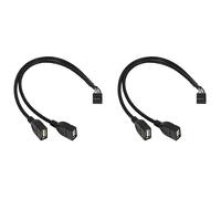 Giwnhvx 2 cavi splitter a Y per scheda madre femmina a 2 porte USB 2.0 maschio da 30 cm a 10 pin (10 pin/2 AM)