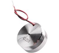 Giwnhvx 20/25W Mini Altoparlante Audio 44/50MM Gamma Colonna Altavoz Risonanza Suono Basso Neodimo Portatile Altoparlante