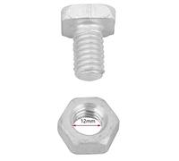 Giwnhvx 200 pezzi M6 x 12 mm serra dadi e bulloni quadrati dadi kit di riparazione serra parti di ricambio forniture da giardino