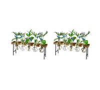 Giwnhvx 2X Stazioni di Propagazione Terrario Piante da Ufficio Vaso di Vetro con Supporto in Legno - Terrario per Piante