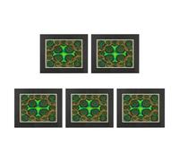 Giwnhvx 5X Pellicola di Visualizzazione Magnetica, Pellicola Di Visualizzazione di Campo Magnetico Verde 6 X 4 Pollice Display di Flusso Magnetico, Detettore di Campo Magnetico, Riutilizzabile