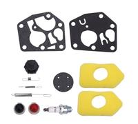 Giwnhvx 698719 Molla Regolatore 495770 Diaframma Carburatore 698369 Filtro Aria per Motori Tosaerba Serie 3,5-4,5 450-600