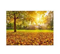 Giwnhvx Arazzo da parete da appendere con raggi di sole da attraversare e paesaggio di campagna, per camera da letto, soggiorno, dormitorio, decorazione facile da usare, 150 x 130 cm