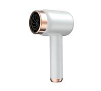 Giwnhvx Asciugacapelli portatile con presa di ricarica, 2 in 1, collegamento e ricarica USB, aria calda e fredda, asciugacapelli, spina EU