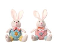 Giwnhvx Confezione da 2 di Coniglietto Gnomo Pasquale, Decorazioni, Bambola di Peluche Volto Gnomo Fatto A Mano, Ornamenti di Gnomi Coniglietto Durevoli e Facili da Installare