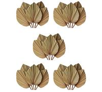 Giwnhvx Decorazione per la stanza in foglie di palma secche, 25 pezzi - 45,7 cm H x 25,4 cm B. Grande decorazione in foglia di palma naturale per un bel look bohémien