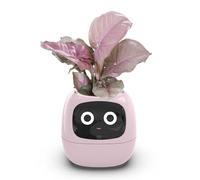 Giwnhvx Fioriera Intelligente di Edera, Vaso di Fiori Interior Ricaricabile USB per la Decorazione Interna Rende la Coltivazione delle Piante Facile e Divertente, Rosa