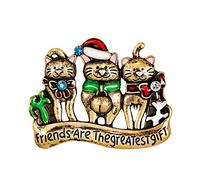 Giwnhvx Gli amici sono il più bello regalo spilla con strass smaltati per gatto per donne ragazze amiche Natale regalo di festa di Natale