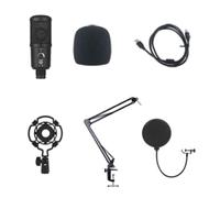 Giwnhvx Microfono USB da a Condensatore Cancellazione del Rumore per PC, Podcast, Microfono con Supporto Freccia B