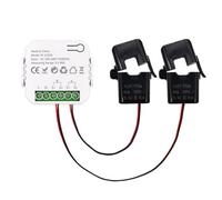 Giwnhvx Misuratore di Energia Bidirezionale Intelligente WiFi Tuya Monofase con Allarme di Sovraccarico Buzzer Applicazione di Monitoraggio della Produzione Solare Consumato 2CT