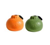 Giwnhvx Vaso idroponico in ceramica per decorazione della tavola, fioriera di frutta, ornamenti da salotto in ceramica