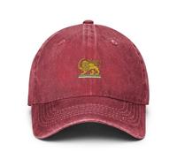 Giwnuq Cappello con bandiera dell'Iran, cappello da camionista unisex regolabile con design leone e sole, berretto leggero e traspirante per appassionati di attività all'aperto, viaggi, pendolari ed