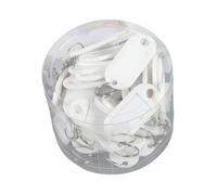 GizmoSynth 50 targhette portachiavi in plastica per portachiavi, targhette identificative, bagagli, nome identificativo, portachiavi con anelli divisi, portachiavi, bianco, S