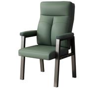 GIZNXBA Sedia Da Ufficio Con Braccioli Sedie Da Pranzo Con Supporto Lombare Sedia Ergonomica Con Gambe In Metallo Comode Sedie Da Lettura Per Soggiorno, Camera Da Letto E Reception(Groen,B)