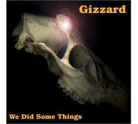 Gizzard - We Did Some Things (US Import)