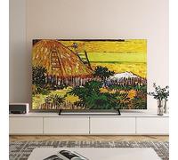 GJGHKLHL Copertura antipolvere for TV interna di arte moderna Protezione for schermo del computer for LCD LED Antiscivolo for desktop a parete, 32-70 pollici, Colore:A(B,60in(139x85cm))