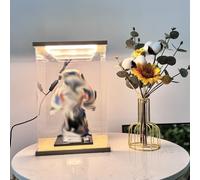 GJHGNFRDK scatola della collezione, Vetrina in acrilico con luce for dimensioni multiple impilabili(50X35X50cm/20X14X20in)