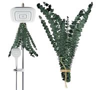 GjnjfdF Eucalipto per Doccia, 10 Pezzi Pianta Naturale Secca Di Eucalipto Decorazione Per Casa, Centrotavola Decorativo Per Bagno, Casa, Salotto, Spa, Salone E Appartamento E Per La