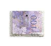 GjnjfdF Libro delle sfide di risparmio con buste, raccoglitore di sfide da 100 buste - Raccoglitore di bilancio A5 per risparmiare denaro,Processo motivazionale per risparmiare $5.050 per il