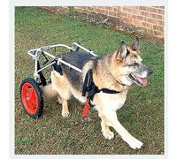 GJUOFFKO La Sedia a rotelle per Gli Arti Posteriori del Cane è Regolabile e Leggera, Adatta a Cani di Grossa Taglia con disabilità agli Arti Posteriori, paralisi o lesioni (L, XL)