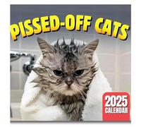 GkgWuxf Calendario 2025 con gatti incazzati, divertente calendario da parete con gatti arrabbiati, calendario mensile creativo 2025, 12 mesi 2025, visualizzazione mensile, divertente calendario 2025
