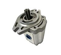 GKSNCJSMF Pompa idraulica a Ingranaggi CBF - F418 CBF-F420 CBF-F425 Pompa idraulica a Ingranaggi ad Alta Pressione da 25 MPa Pompa dell'olio per Macchine agricole (CBF-F425-ALHR)