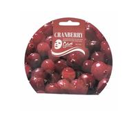 Glam Of Sweden Mask Cranberry 23ml
