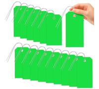 Glarks 101 etichette verdi scrivibili impermeabili 8 x 16 cm con set di cordini, etichette per spedizioni in PVC, etichette resistenti per spedizioni e traslochi, etichette vuote per casa, ufficio