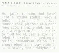 Glaser, Peter - Peter Glaser - Bring Down The Angels