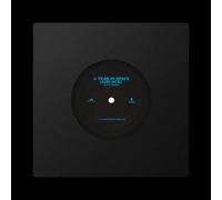 Glass Animals A Tear in Space (Airlock) (Vinyl LP) 7" Single