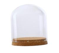 Glass Cloche Dome Cover Succulente Terrari Con Decorazioni Da In Sughero