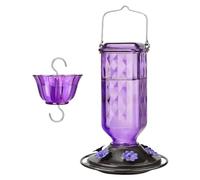 Glass Hummingbird Feeders, Bird Feeders Hanging Station, Garden Decor with Multiple Feeding Ports, Birdwatching Bottle for Patio, Balcony, Deck, Window, Backyard, 30.5x15.2cm/5x7.6cm