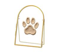 Glass Picture Frame - Metal Arch Tabletop Display Holder | Semi Circle Memory Photo Showcase, Decorative Brass Edge Floating Frame, Botanical Specimen Keepsake Stand For Living Room Bedroom Study Apar