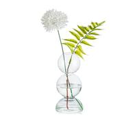 Glasseam Piccolo Vaso per Fiori, Simpatici Vasi di Vetro per La Decorazione, Estetico Vaso Rotondo Trasparente per Tulipani E Rose, Vasi per Boccioli, Vasi A Bolla dal Design Unico, Vasi per Fiori