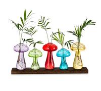 Glasseam Set di 5 Vasi in Vetro per Fiori A Fungo, Stazione di Propagazione Moderna con Legno, Decorazioni, Terrario per Piante Colorate, Carino per Il Tavolo