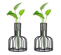 Glasseam Stazione di diffusione in vetro con telaio in metallo, set di 2 vasi da fiori neri, vaso da provetta per pianta idroponica, piccolo vaso per boccioli per il nero